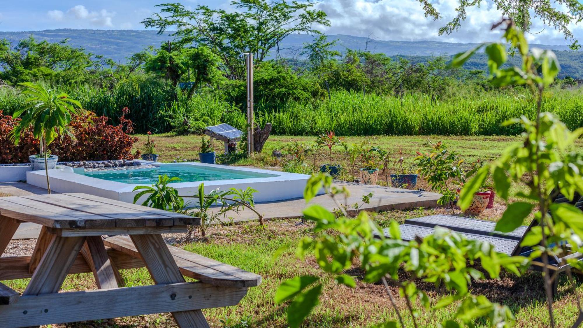 Cashaw Cabin - Private Retreat With A Pool Treasure Beach Exterior foto